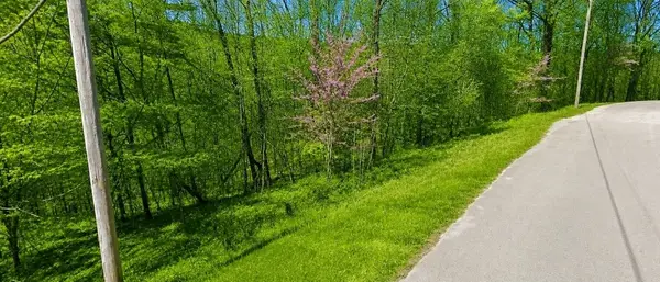 0 Sussex Rd, Dayton, TN 37321