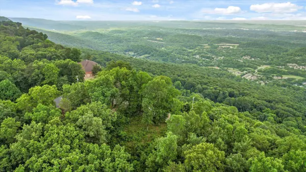 0 E Brow Road, Signal Mountain, TN 37377