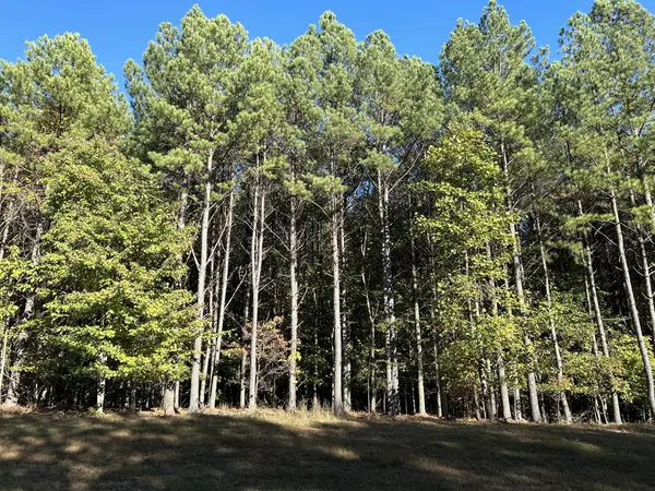 2035 Crockett Pointe, Jasper, TN 37347