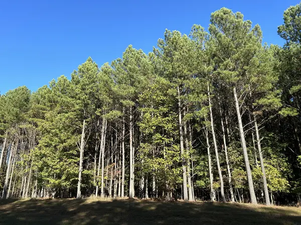 2035 Crockett Pointe, Jasper, TN 37347