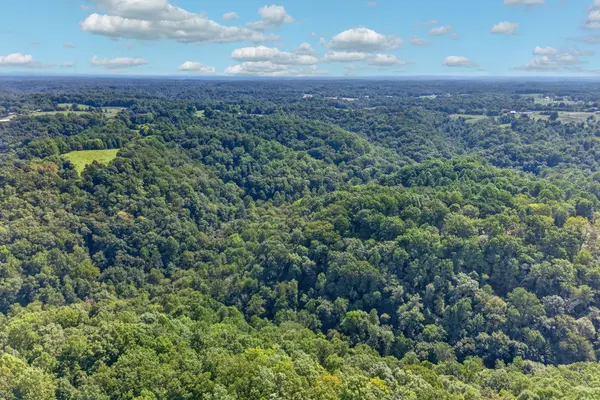 195 Hack Dyer Ln, Bloomington Springs, TN 38545