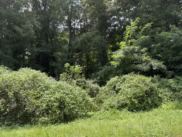 913 Riverside Dr, Columbia, TN 38401