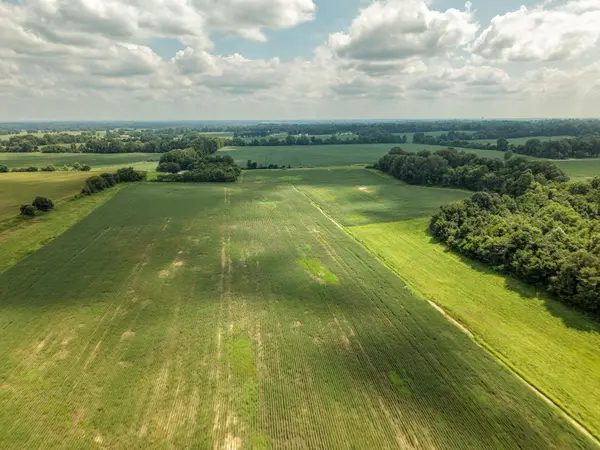 0 Highway 412, Alamo, TN 38001