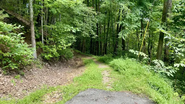 1304 Balsam Circle, Sevierville, TN 37876