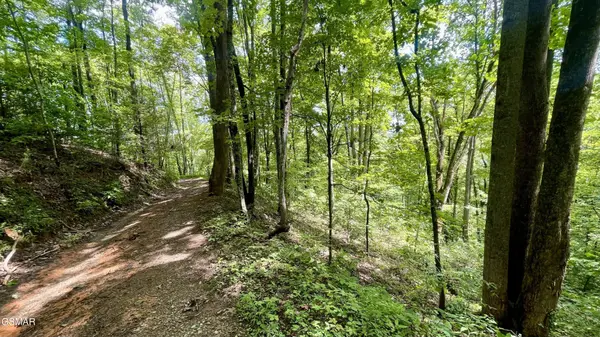1304 Balsam Circle, Sevierville, TN 37876