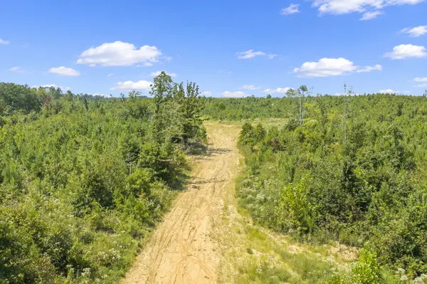 0 Rockport McIllwain Rd, Holladay, TN 38341