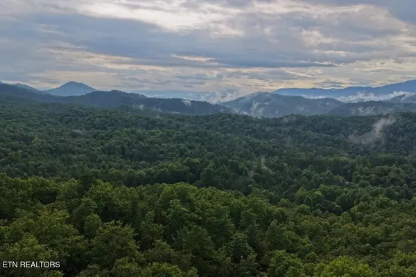 0 Shady Oaks Way, Sevierville, TN 37876