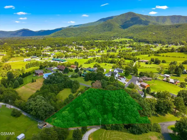11 JH Headrick Drive, Sevierville, TN 37862