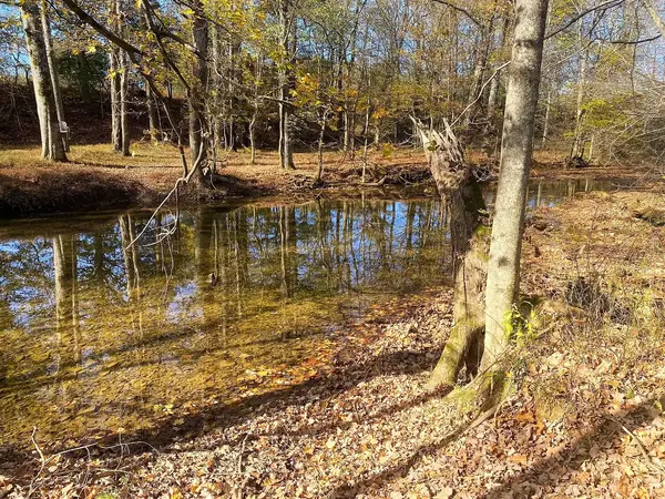 0 Empson Road, White House, TN 37188