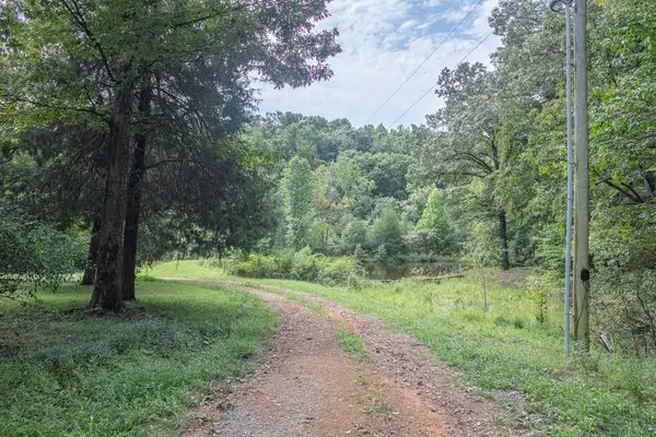 162 Tracy Rd, Hohenwald, TN 38462