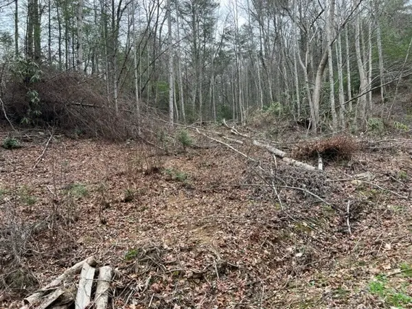 3 Coy Rhea Way, Sevierville, TN 37876