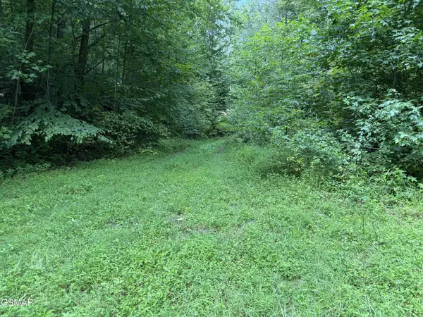3 Coy Rhea Way, Sevierville, TN 37876