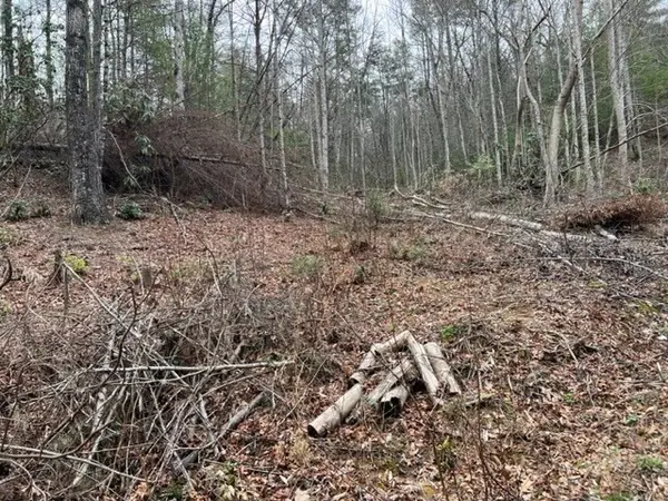 3 Coy Rhea Way, Sevierville, TN 37876