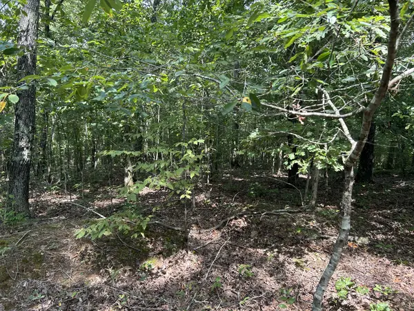 0 American Way, Stewart, TN 37175