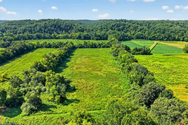 160 Backside Beaverdam Road, Centerville, TN 37033