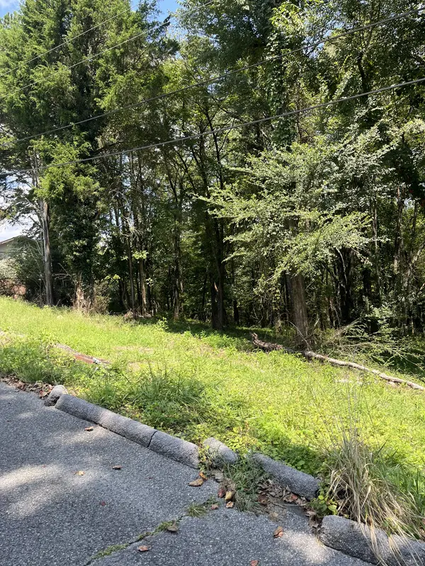 0 Sierra Drive, Dayton, TN 37321