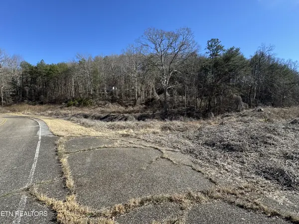 0 Scott Highway, Helenwood, TN 37755