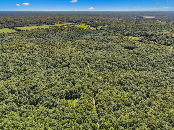 0 Highway 230, Waverly, TN 37185