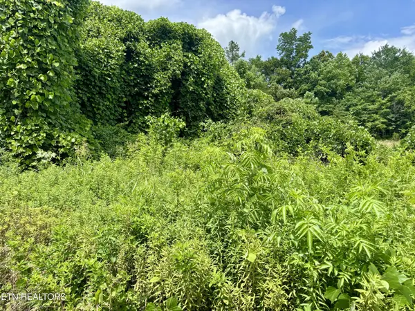 0 Davis Hollow Rd, Harriman, TN 37748