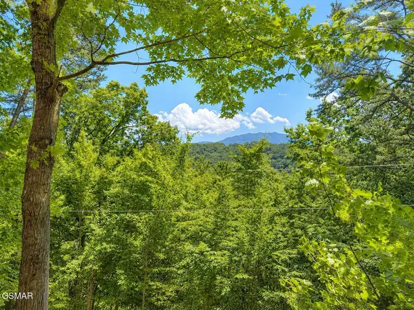 874878 Boone Acres Lane, Pigeon Forge, TN 37863