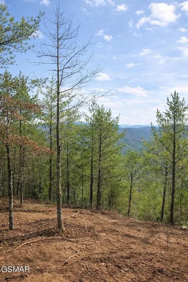 1 Sulpher Springs Way, Sevierville, TN 37876