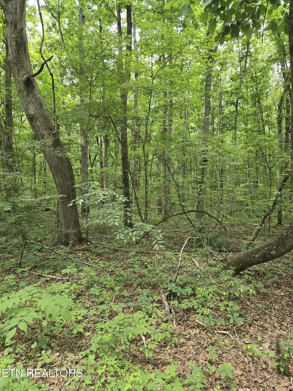 3 W Wind Way, Crossville, TN 38572
