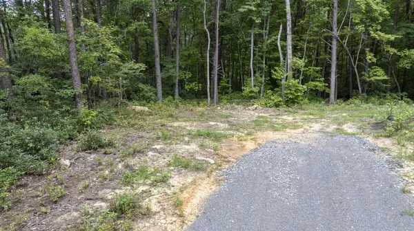 23 Escape Drive, Evensville, TN 37332