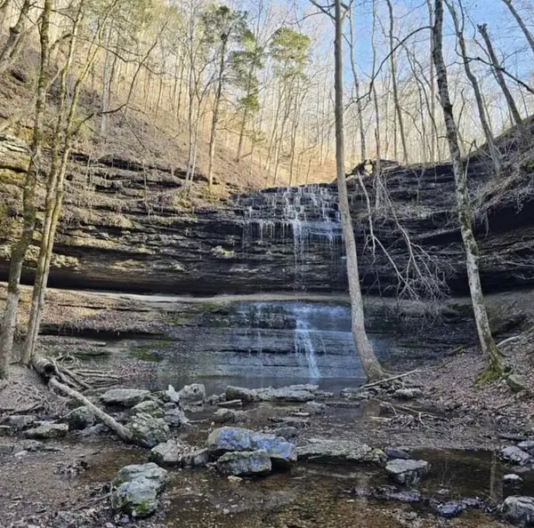 2280 Big Opossum Creek Rd, Linden, TN 37096