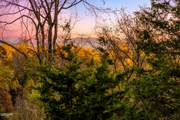 3037 Ridge Top Resort Way, Pigeon Forge, TN 37863