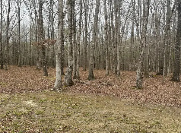 145 Eaglet Rd, Summertown, TN 38483