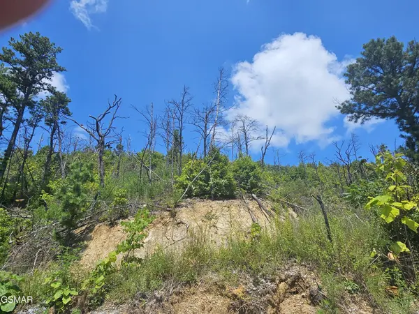 2330 Surries High Top Way, Sevierville, TN 37862