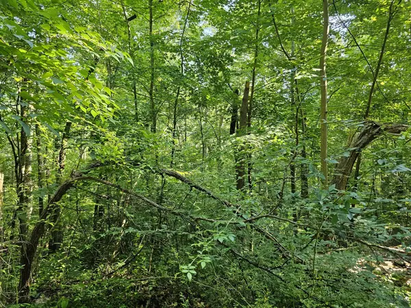 10 Kristina Way, Sevierville, TN 37862