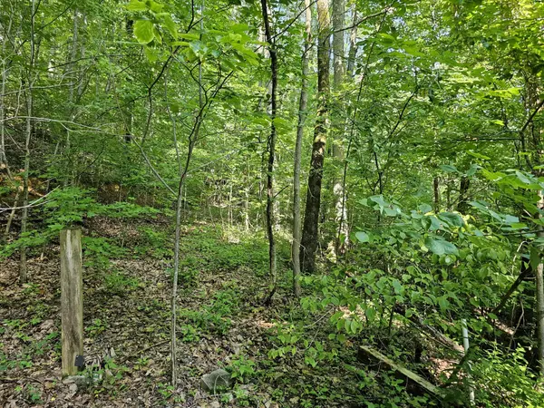 10 Kristina Way, Sevierville, TN 37862