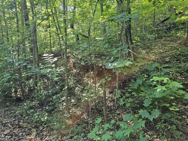 10 Kristina Way, Sevierville, TN 37862
