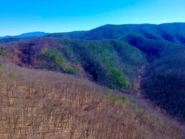 2 RAVENS DEN Way, Sevierville, TN 37862