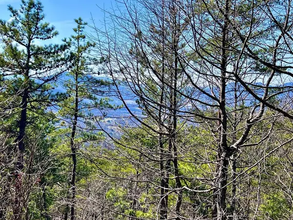 2 RAVENS DEN Way, Sevierville, TN 37862