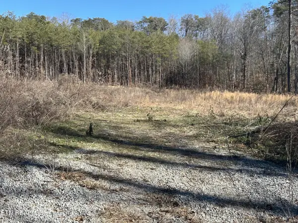 504 Wiggins Rd, Tellico Plains, TN 37385