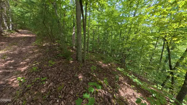 25 Shady Oaks Way, Sevierville, TN 37876