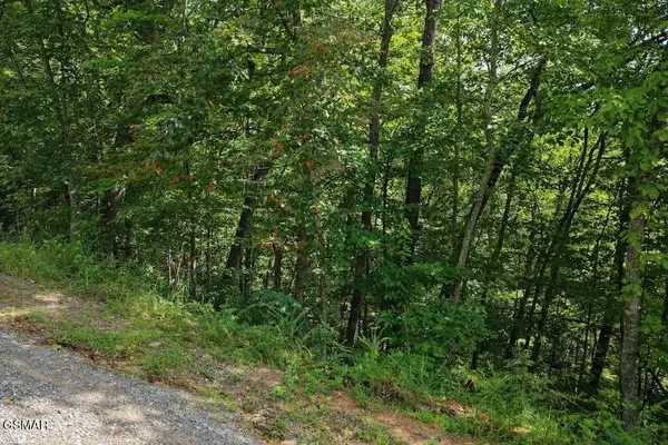 27 Shady Oaks Way, Sevierville, TN 37876
