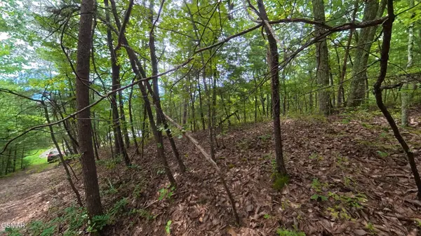 41 Shady Oaks Way, Sevierville, TN 37876
