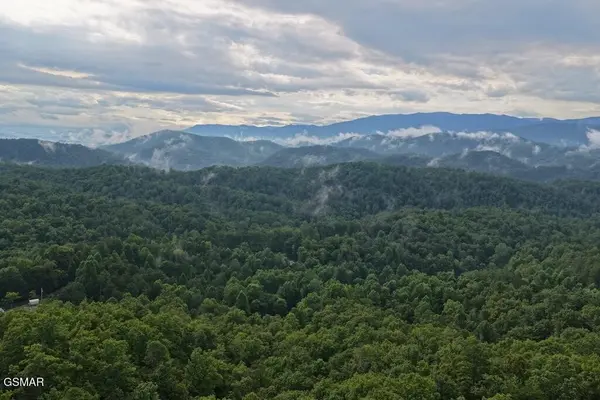 42 Shady Oaks Way, Sevierville, TN 37876