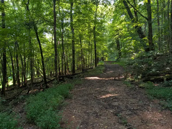 3229 Jarrell Ridge Rd, Clarksville, TN 37043