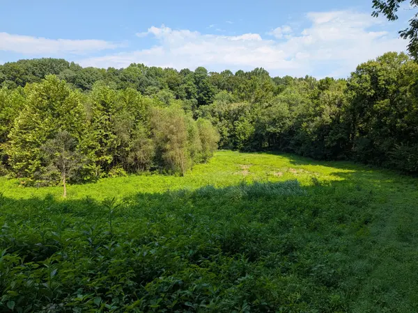 3229 Jarrell Ridge Rd, Clarksville, TN 37043