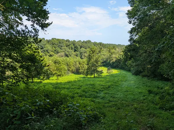 3229 Jarrell Ridge Rd, Clarksville, TN 37043