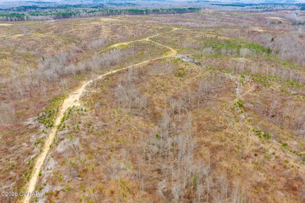 0 Rockport McIllwain Rd, Holladay, TN 38341