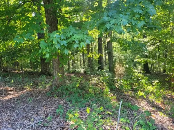 0 Scenic Drive, Dickson, TN 37055