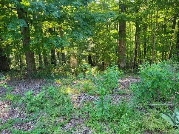 0 Scenic Drive, Dickson, TN 37055