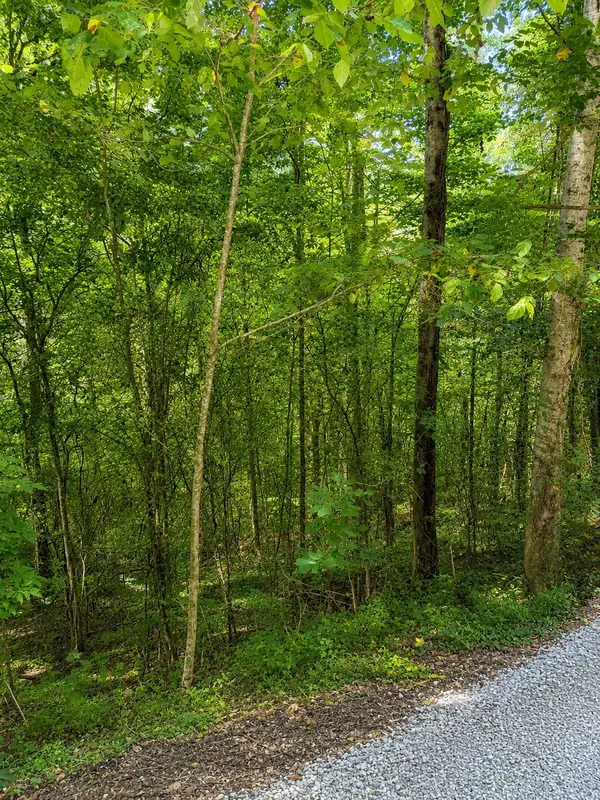 0 Shoreside Dr, Smithville, TN 37166