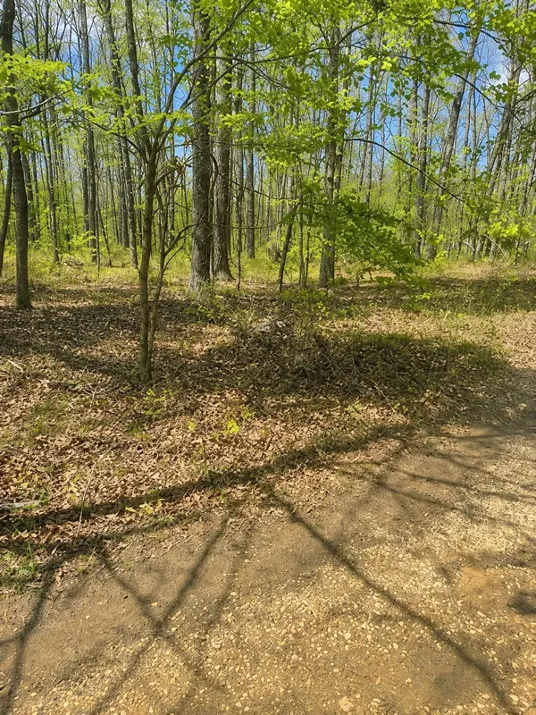 0 Doe Creek Lake Dr, Sparta, TN 38583