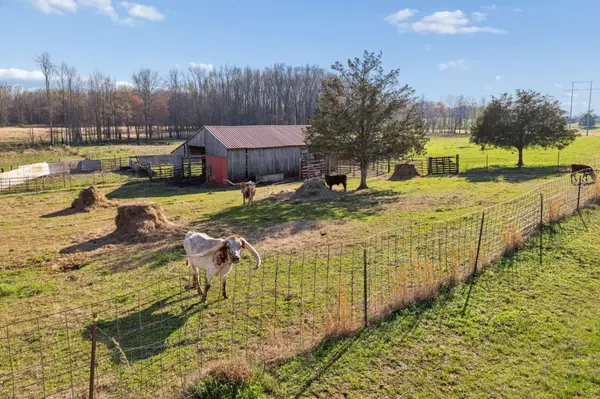 324 Laster Holman Lane, Decherd, TN 37324